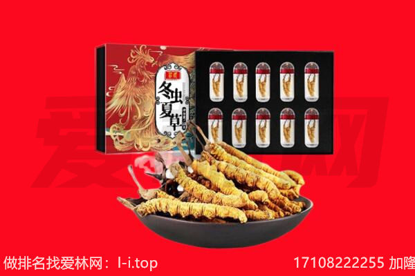 玉林回收虫草.jpg